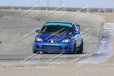 media/Nov-09-2024-GTA Finals Buttonwillow (Sat) [[c24c1461bf]]/Group 4/Session 3 (Outside Grapevine)/